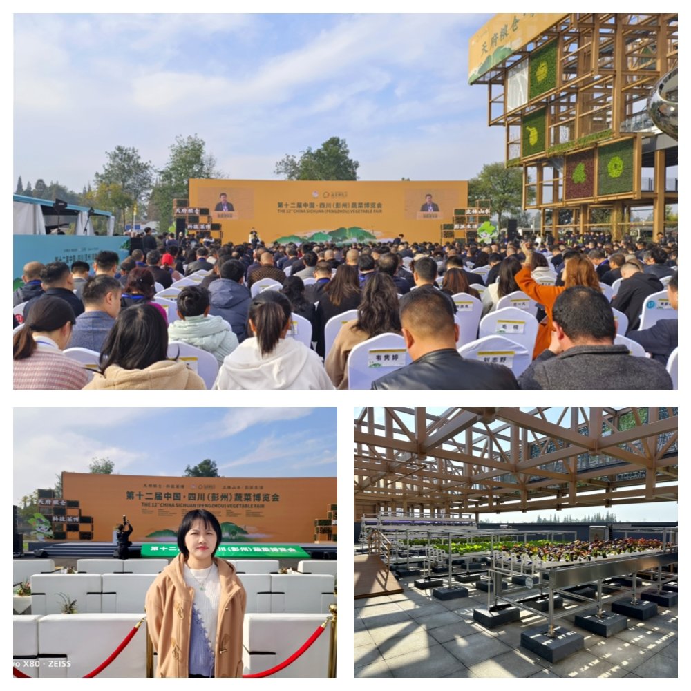 Z6���������ǲ�(�й���)���޹�˾����