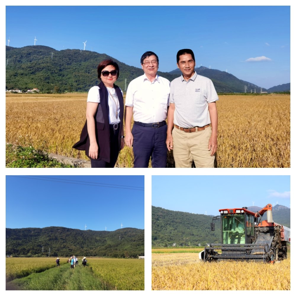 Z6���������ǲ�(�й���)���޹�˾����