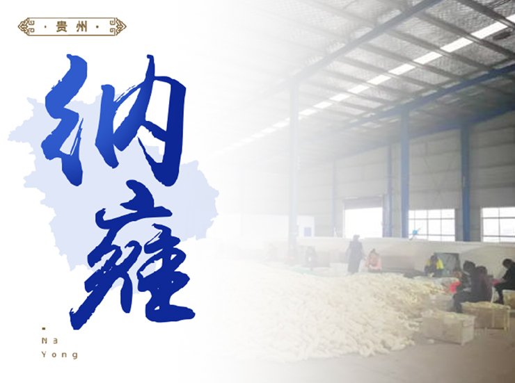 Z6���������ǲ�(�й���)���޹�˾����