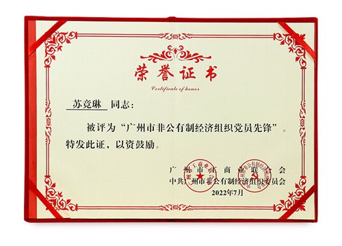 �����зǹ����ƾ�����֯��Ա�ȷ���ģ��