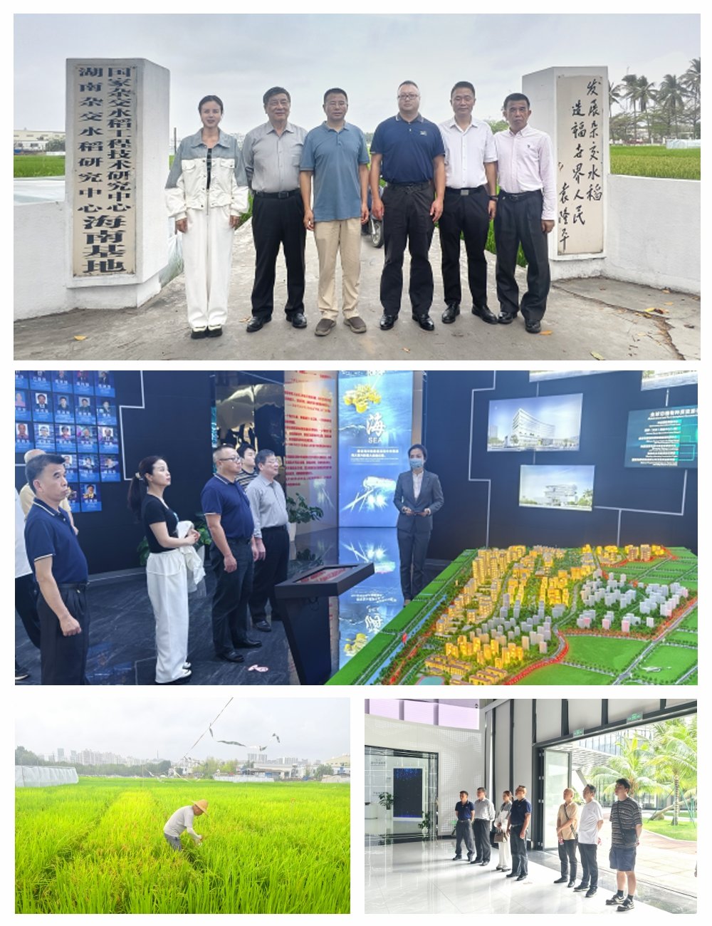 Z6���������ǲ�(�й���)���޹�˾����