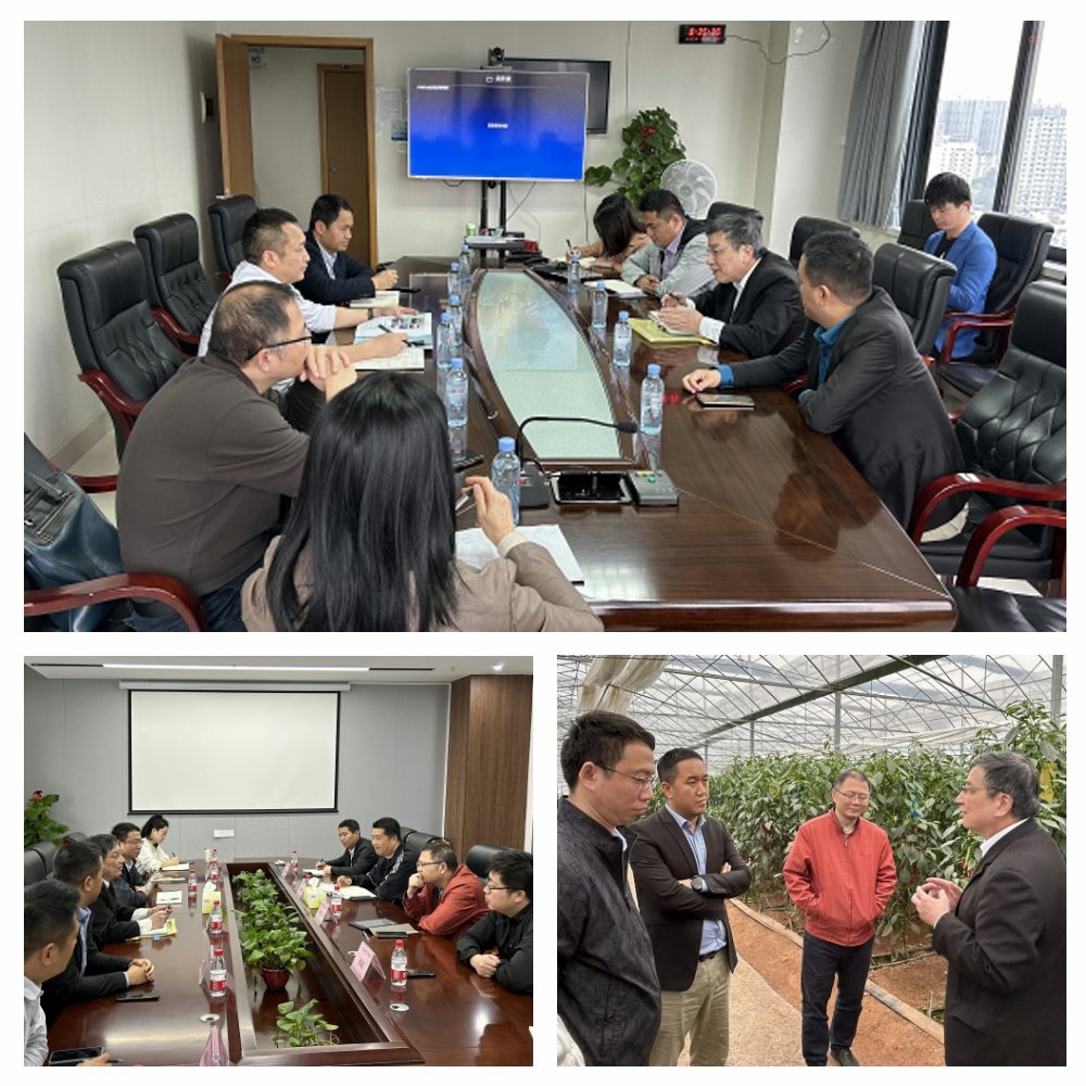 Z6���������ǲ�(�й���)���޹�˾����