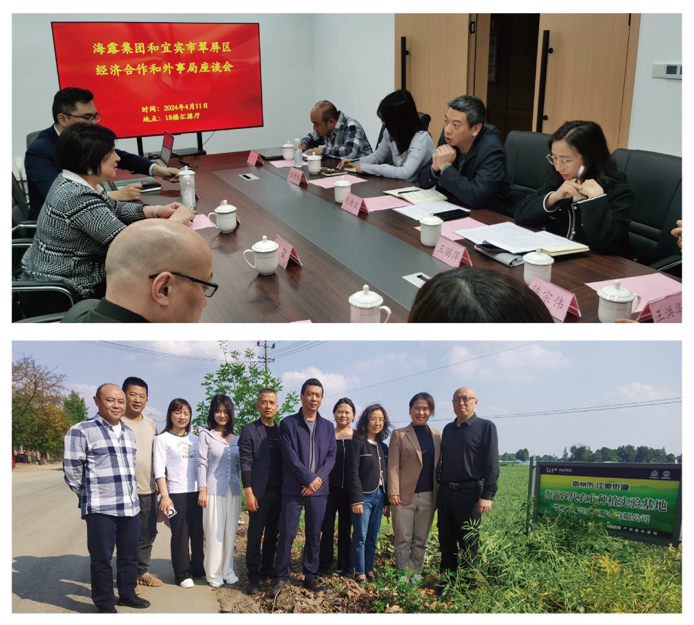 Z6���������ǲ�(�й���)���޹�˾����