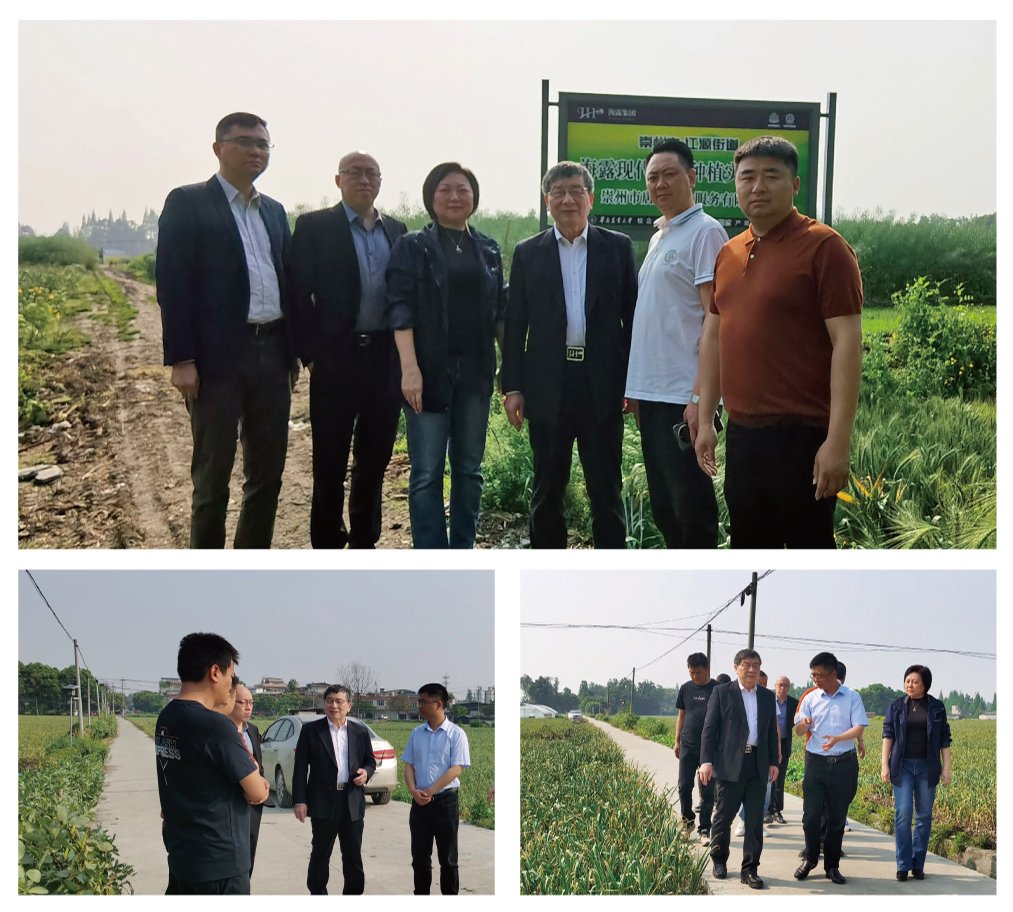 Z6���������ǲ�(�й���)���޹�˾����