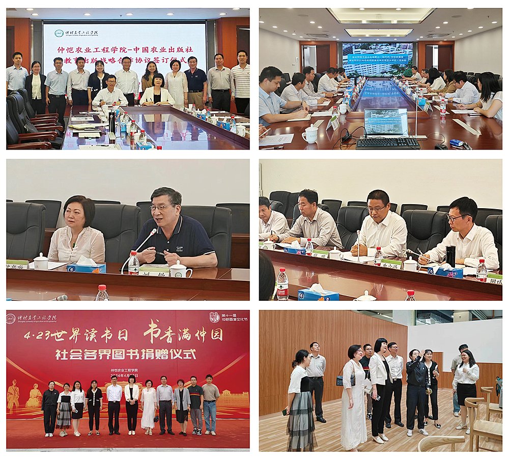 Z6���������ǲ�(�й���)���޹�˾����