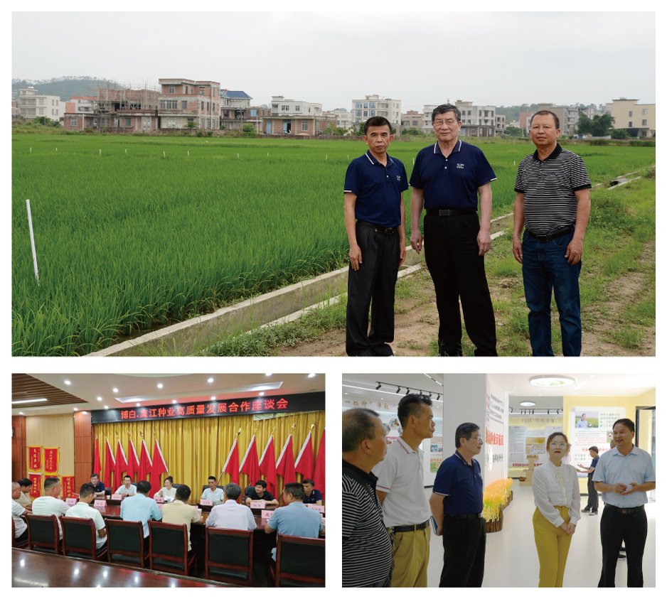 Z6���������ǲ�(�й���)���޹�˾����