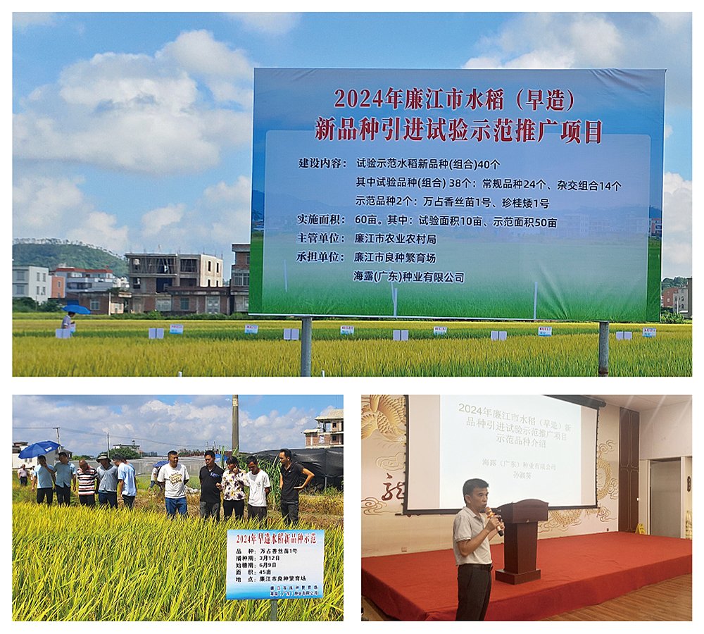 Z6���������ǲ�(�й���)���޹�˾����