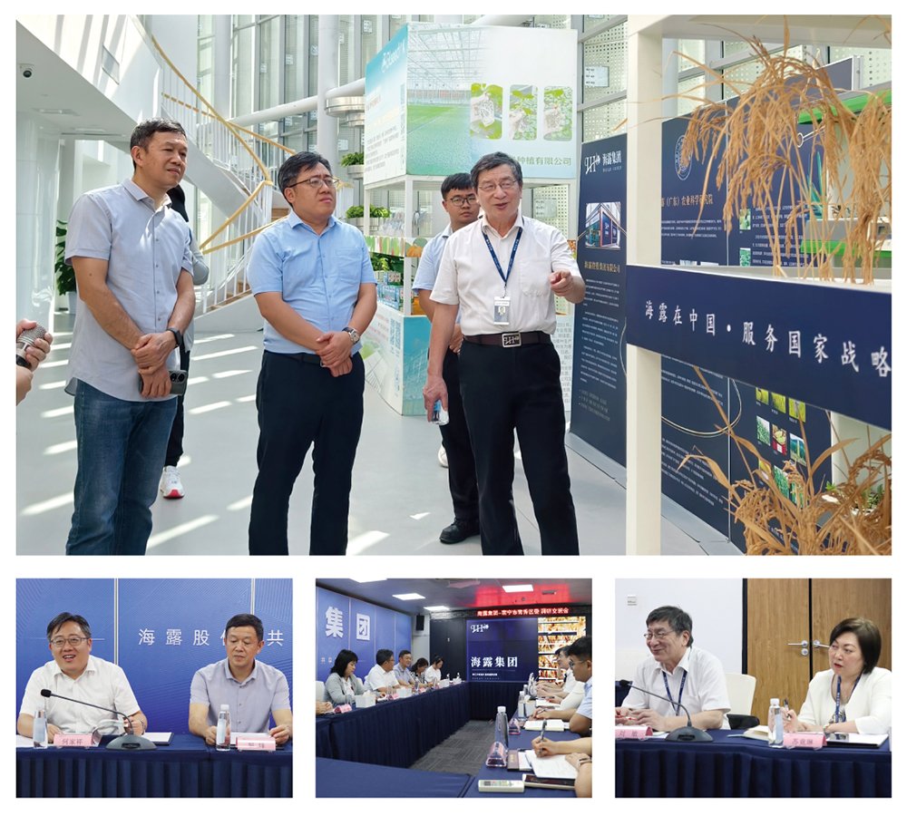 Z6���������ǲ�(�й���)���޹�˾����