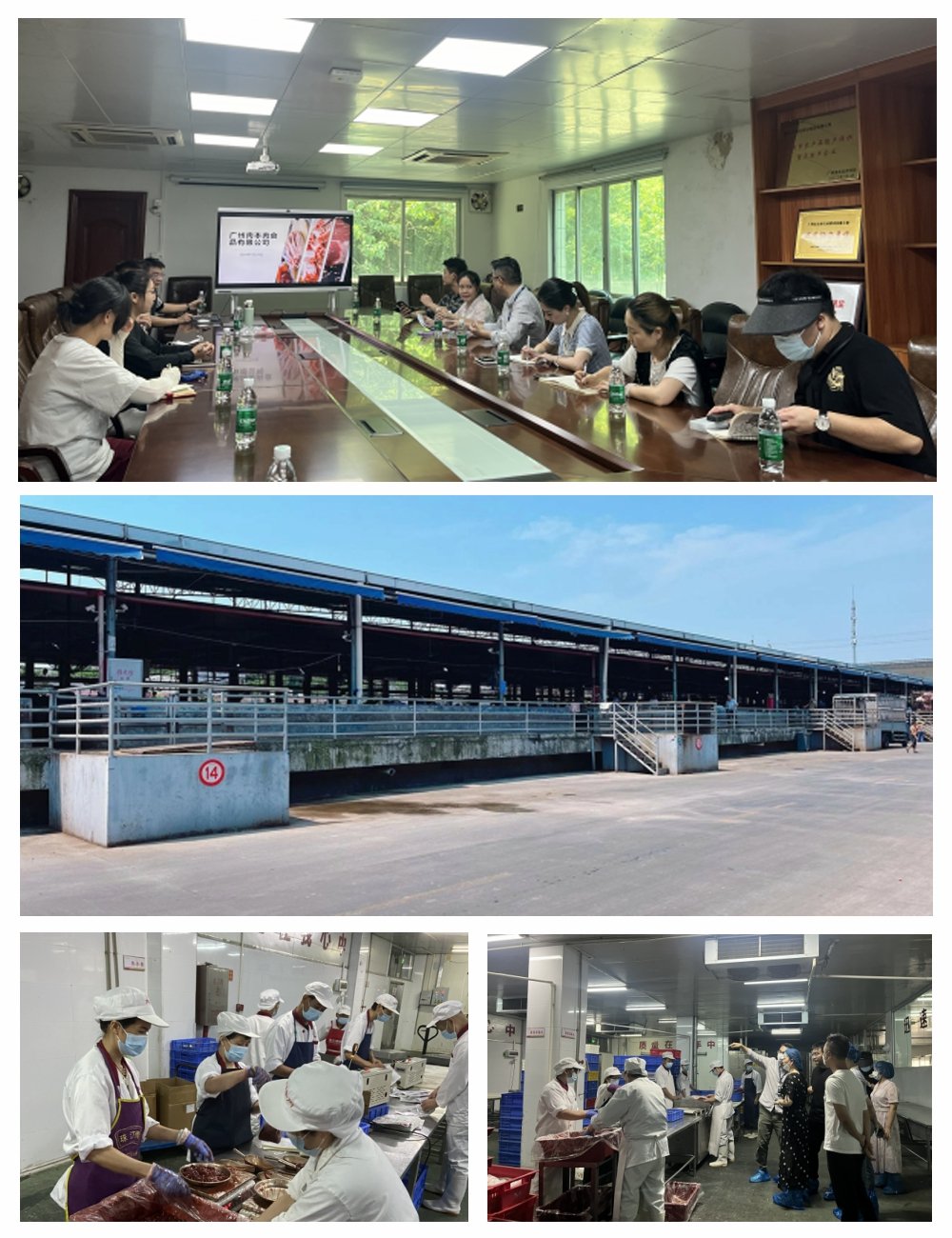 Z6���������ǲ�(�й���)���޹�˾����