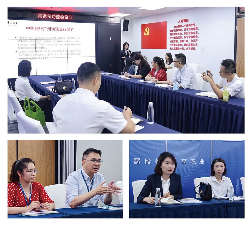 Z6���������ǲ�(�й���)���޹�˾����