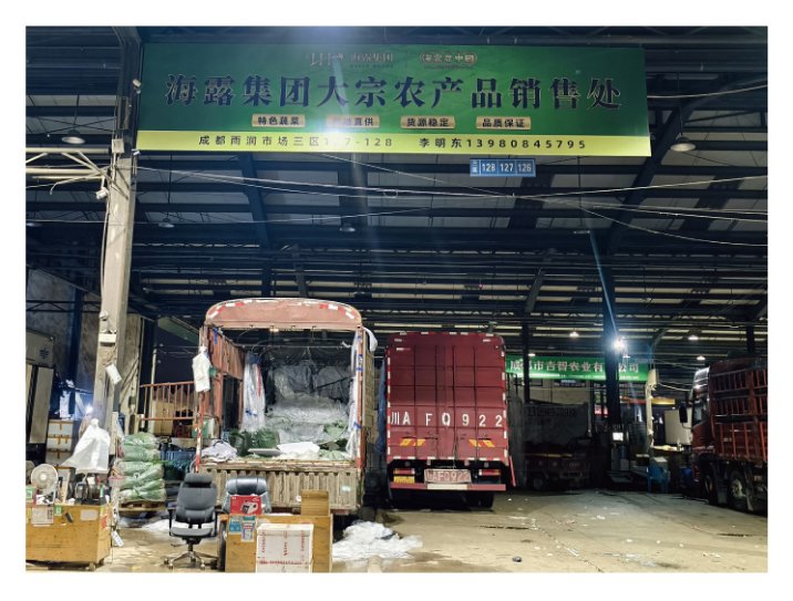 Z6���������ǲ�(�й���)���޹�˾����