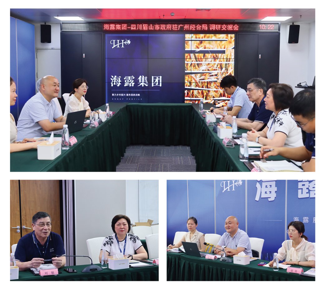 Z6���������ǲ�(�й���)���޹�˾����