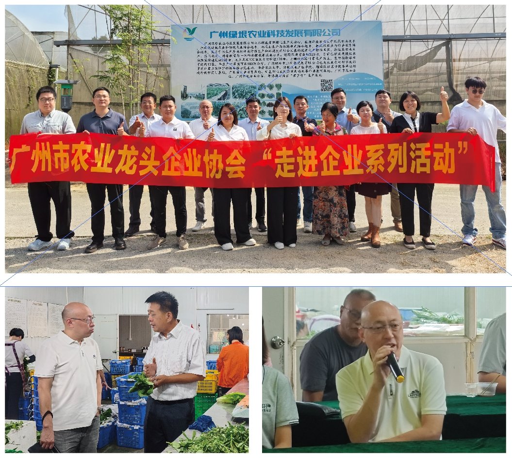 Z6���������ǲ�(�й���)���޹�˾����