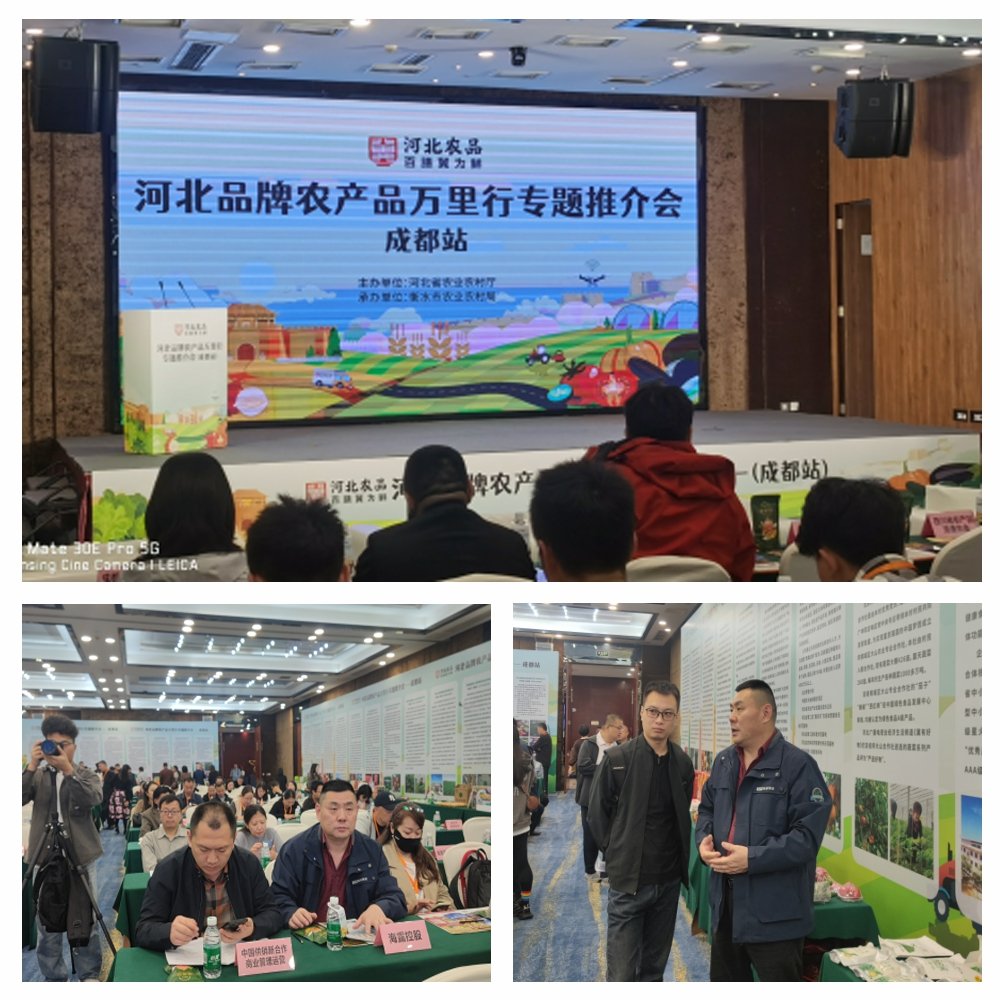 Z6���������ǲ�(�й���)���޹�˾����