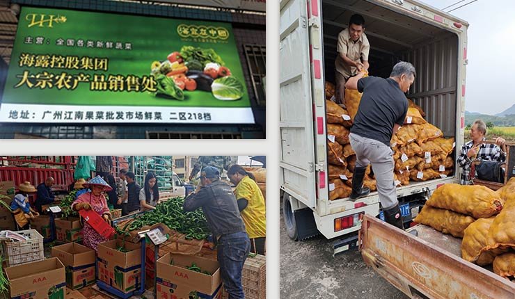 Z6���������ǲ�(�й���)���޹�˾����