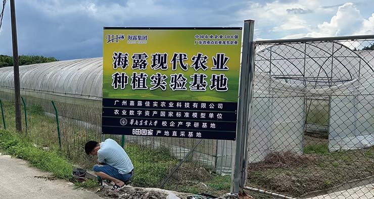 Z6���������ǲ�(�й���)���޹�˾����