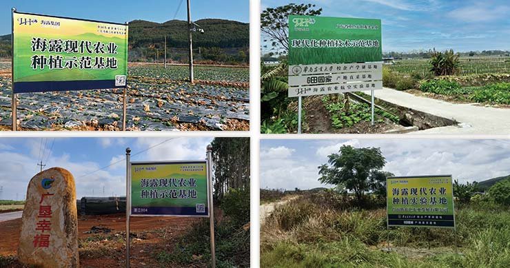 Z6���������ǲ�(�й���)���޹�˾����