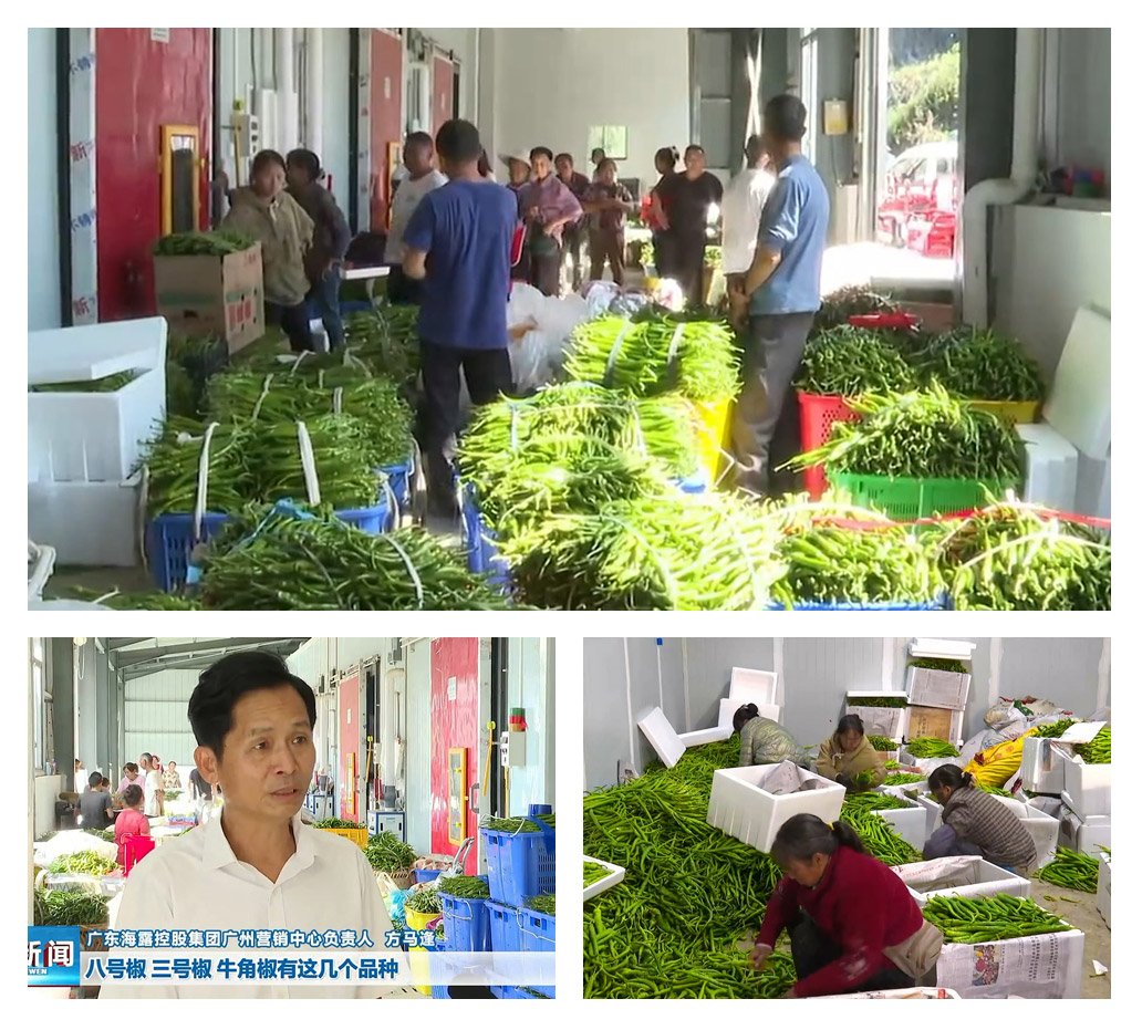 Z6���������ǲ�(�й���)���޹�˾����