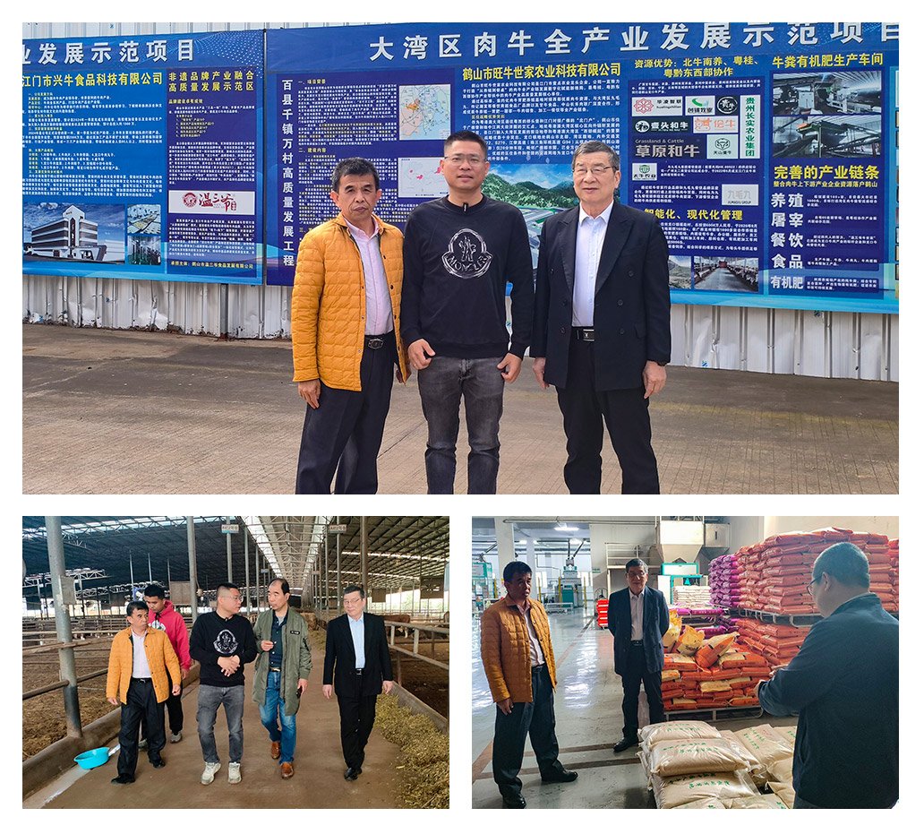 Z6���������ǲ�(�й���)���޹�˾����