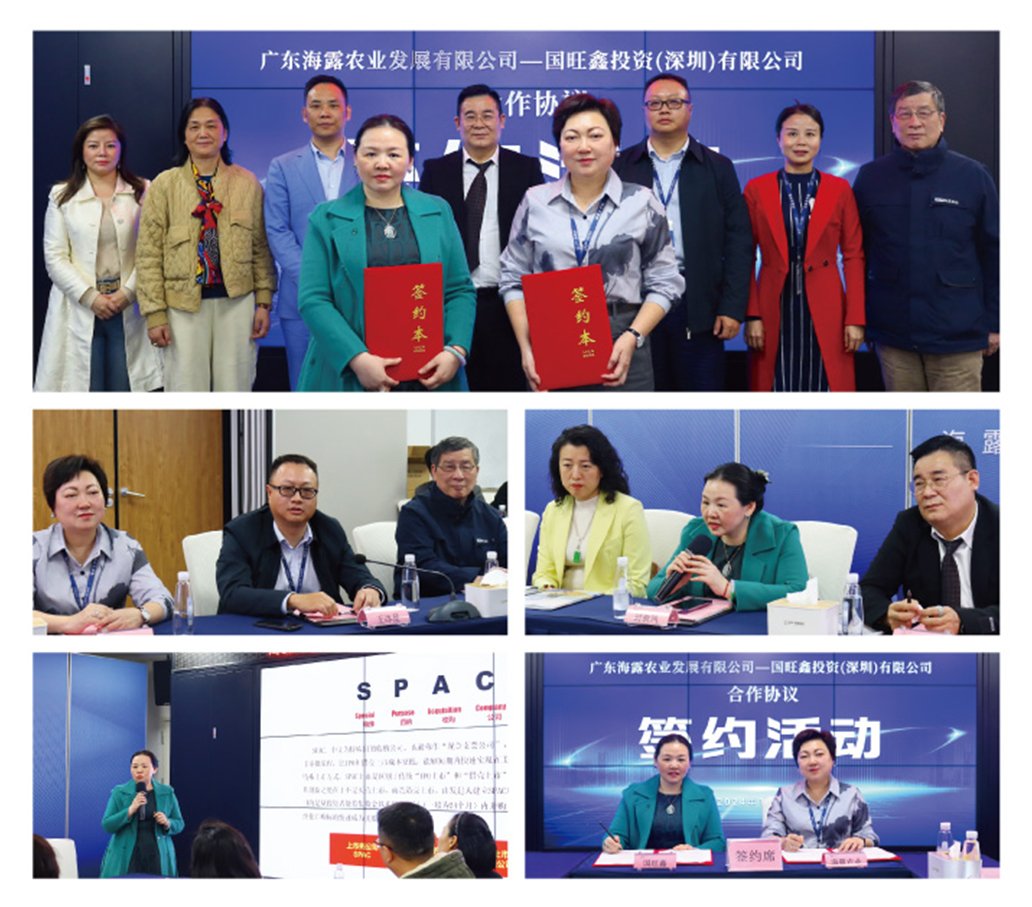 Z6���������ǲ�(�й���)���޹�˾����