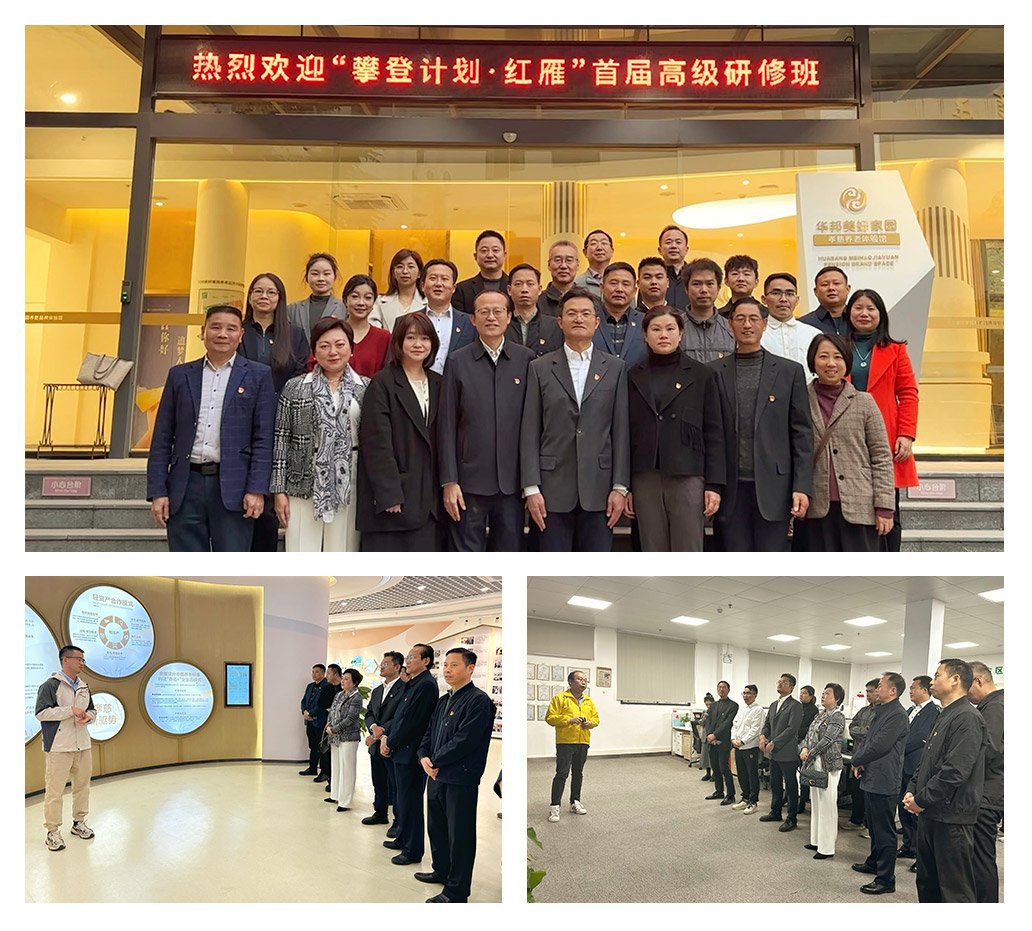 Z6���������ǲ�(�й���)���޹�˾����