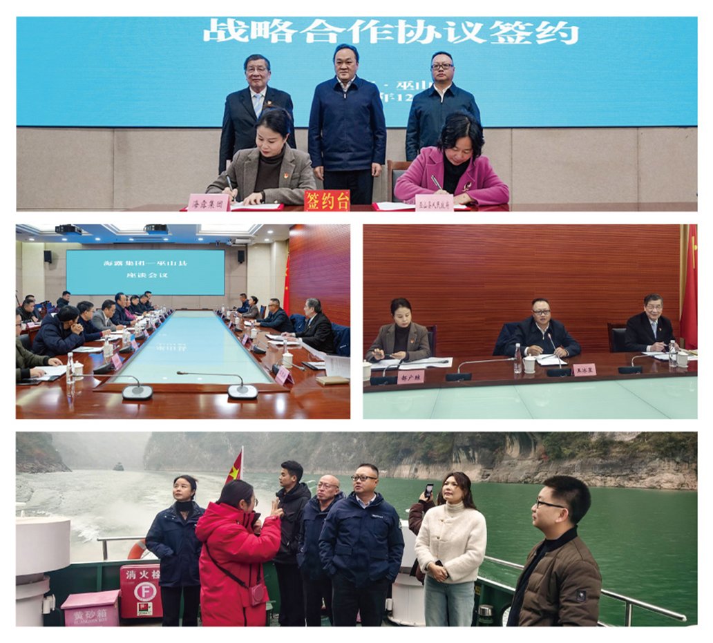 Z6���������ǲ�(�й���)���޹�˾����