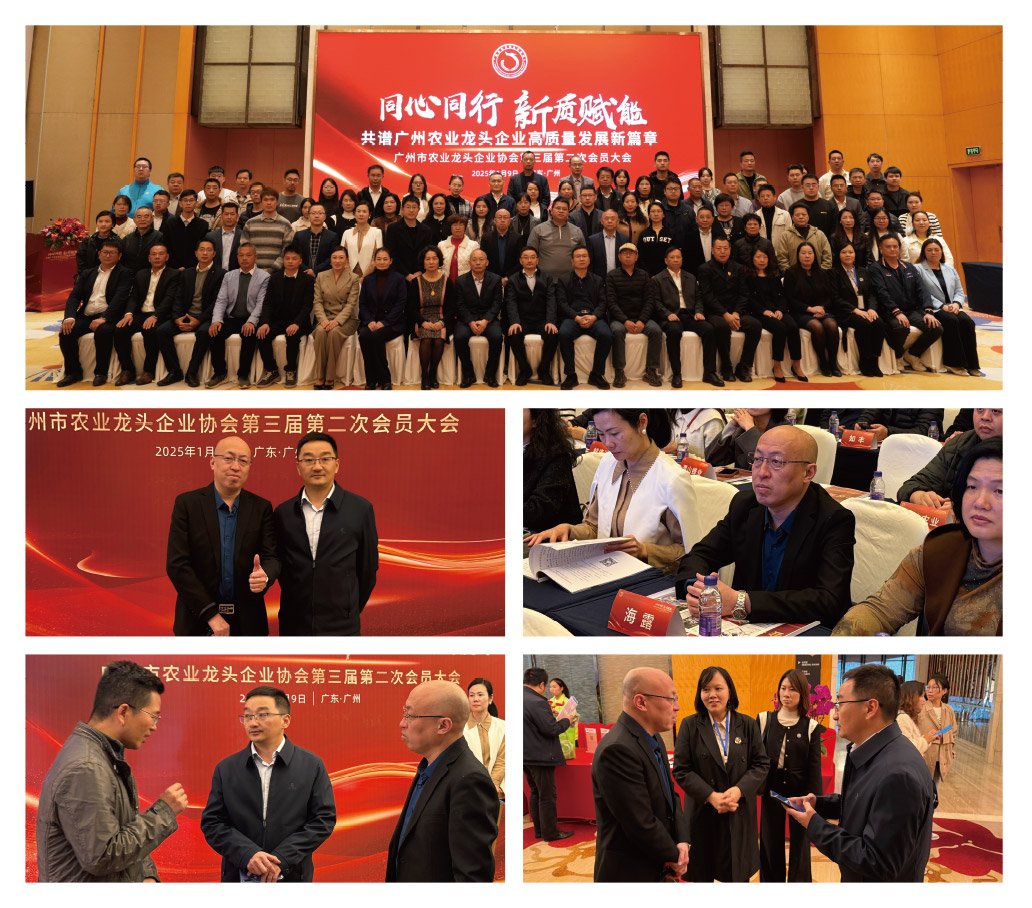 Z6���������ǲ�(�й���)���޹�˾����