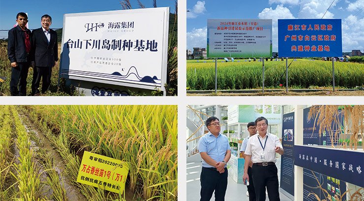 Z6���������ǲ�(�й���)���޹�˾����