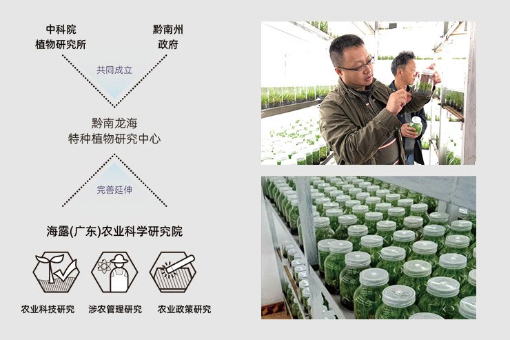 Z6���������ǲ�(�й���)���޹�˾����