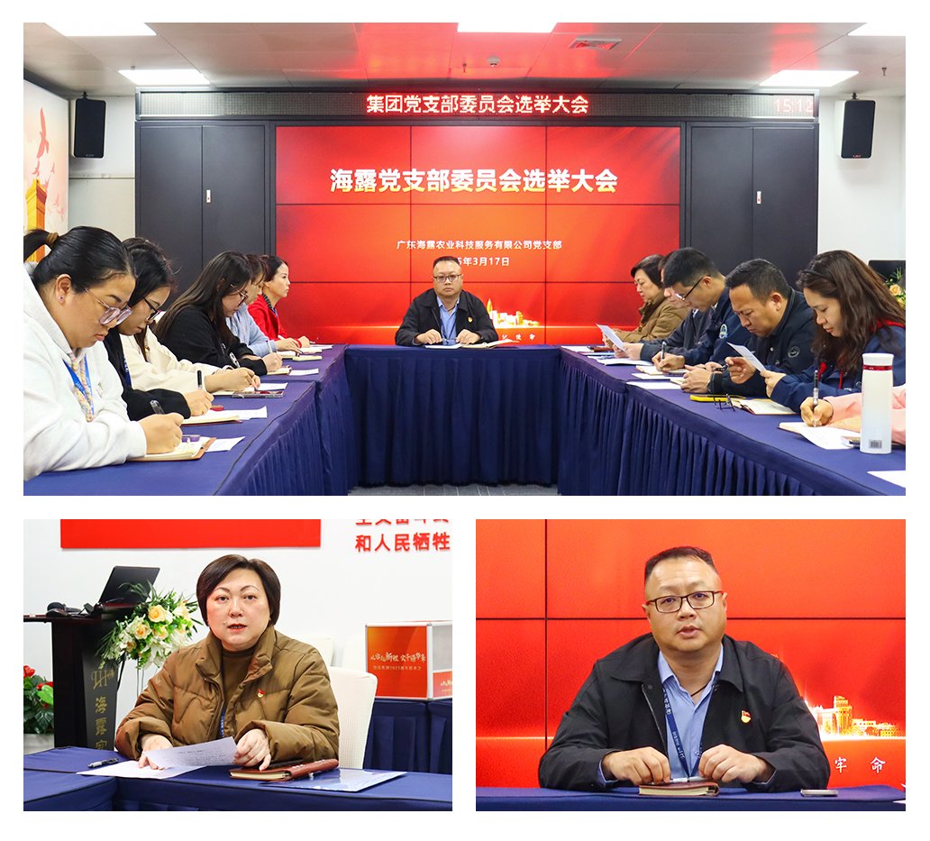 Z6���������ǲ�(�й���)���޹�˾����