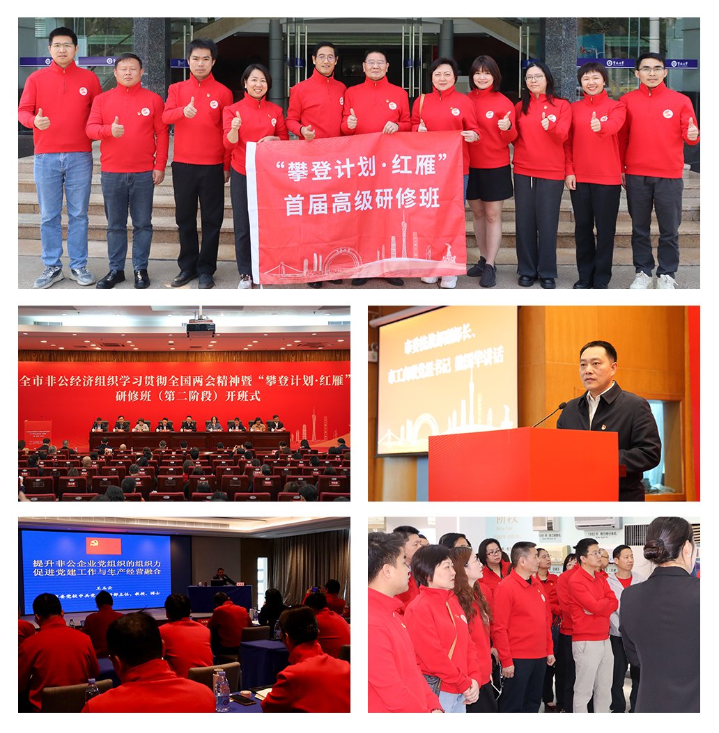 Z6���������ǲ�(�й���)���޹�˾����