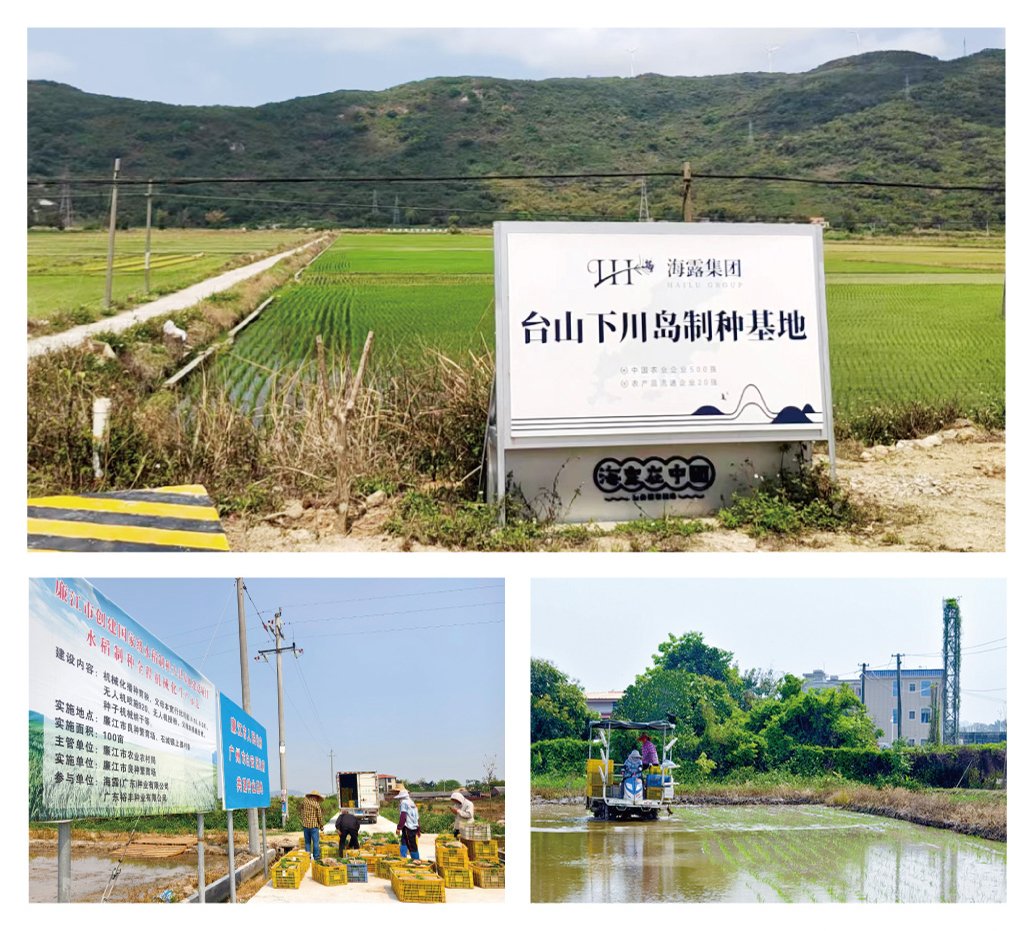 Z6���������ǲ�(�й���)���޹�˾����