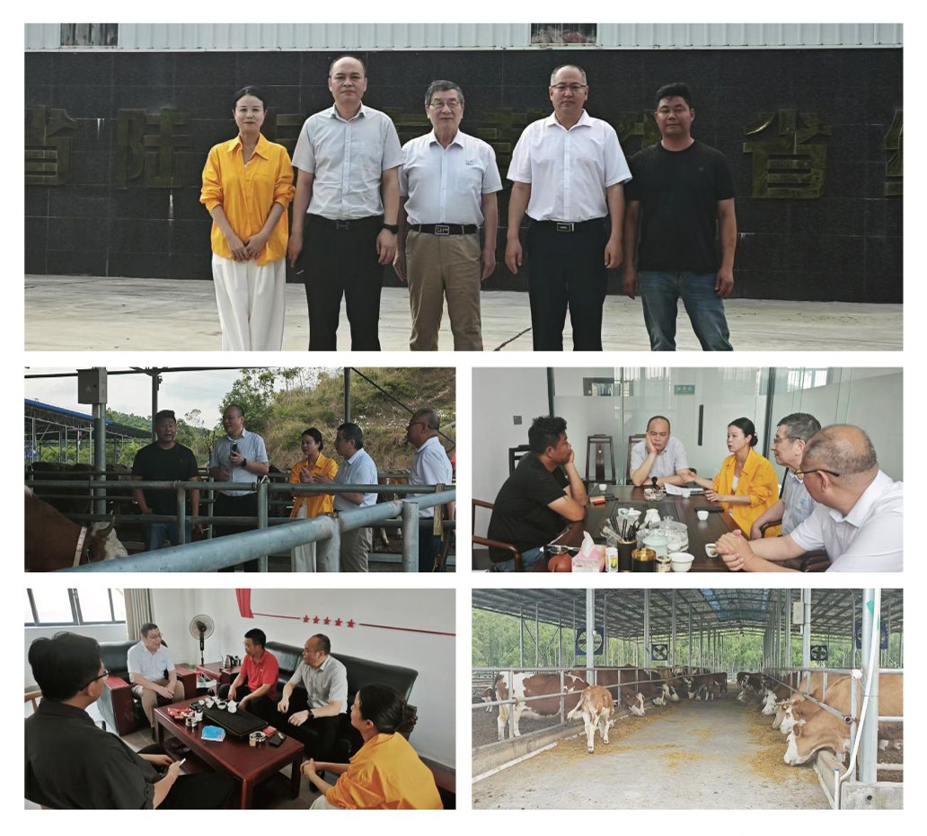 Z6���������ǲ�(�й���)���޹�˾����