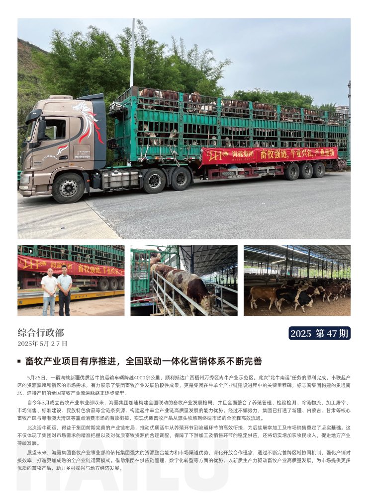 Z6���������ǲ�(�й���)���޹�˾����