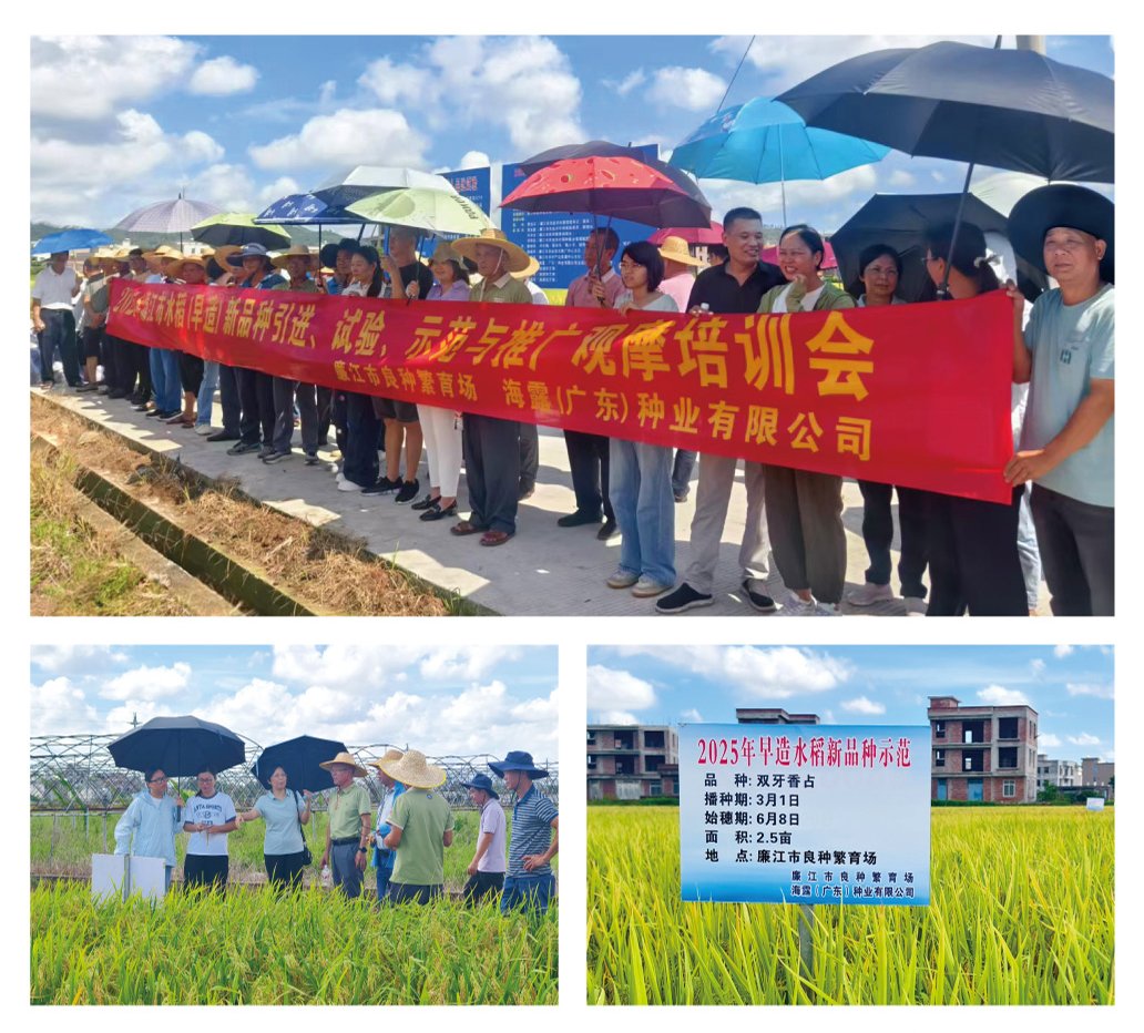 Z6���������ǲ�(�й���)���޹�˾����