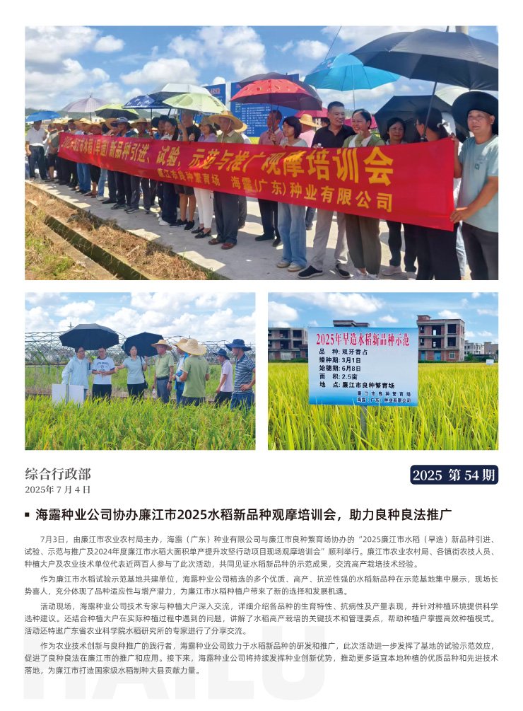 Z6���������ǲ�(�й���)���޹�˾����