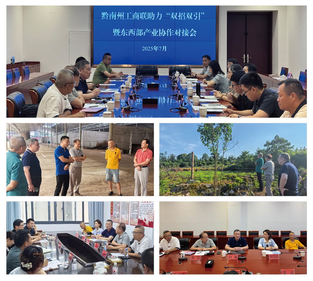 Z6���������ǲ�(�й���)���޹�˾����