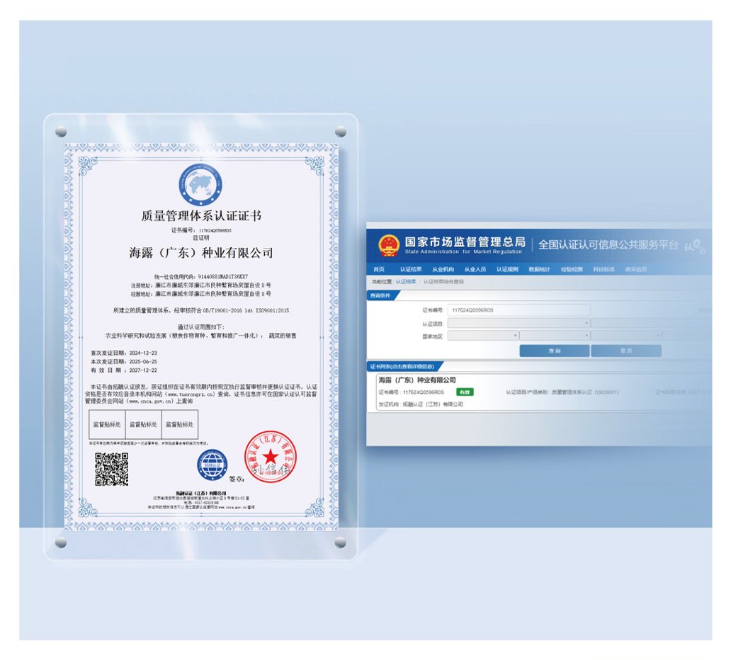 Z6���������ǲ�(�й���)���޹�˾����