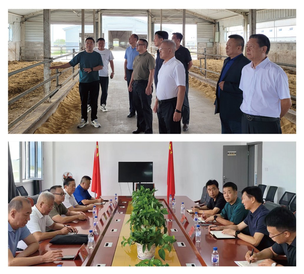 Z6���������ǲ�(�й���)���޹�˾����