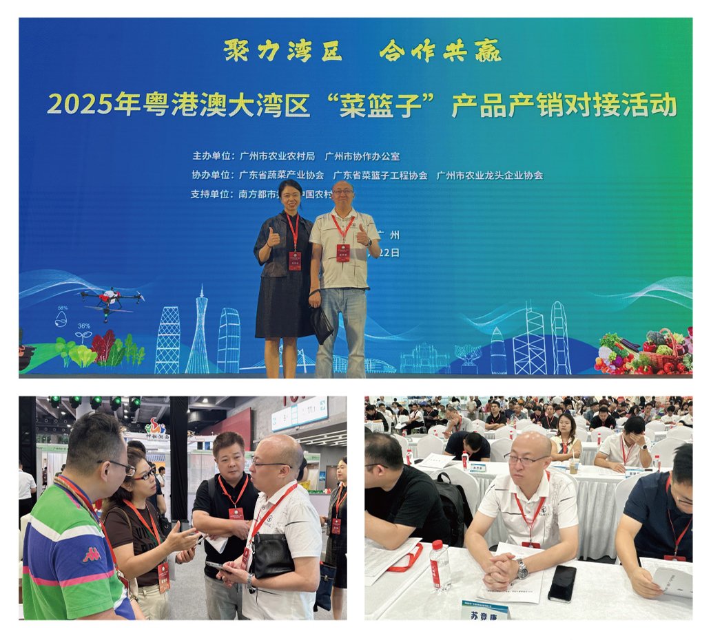 Z6���������ǲ�(�й���)���޹�˾����