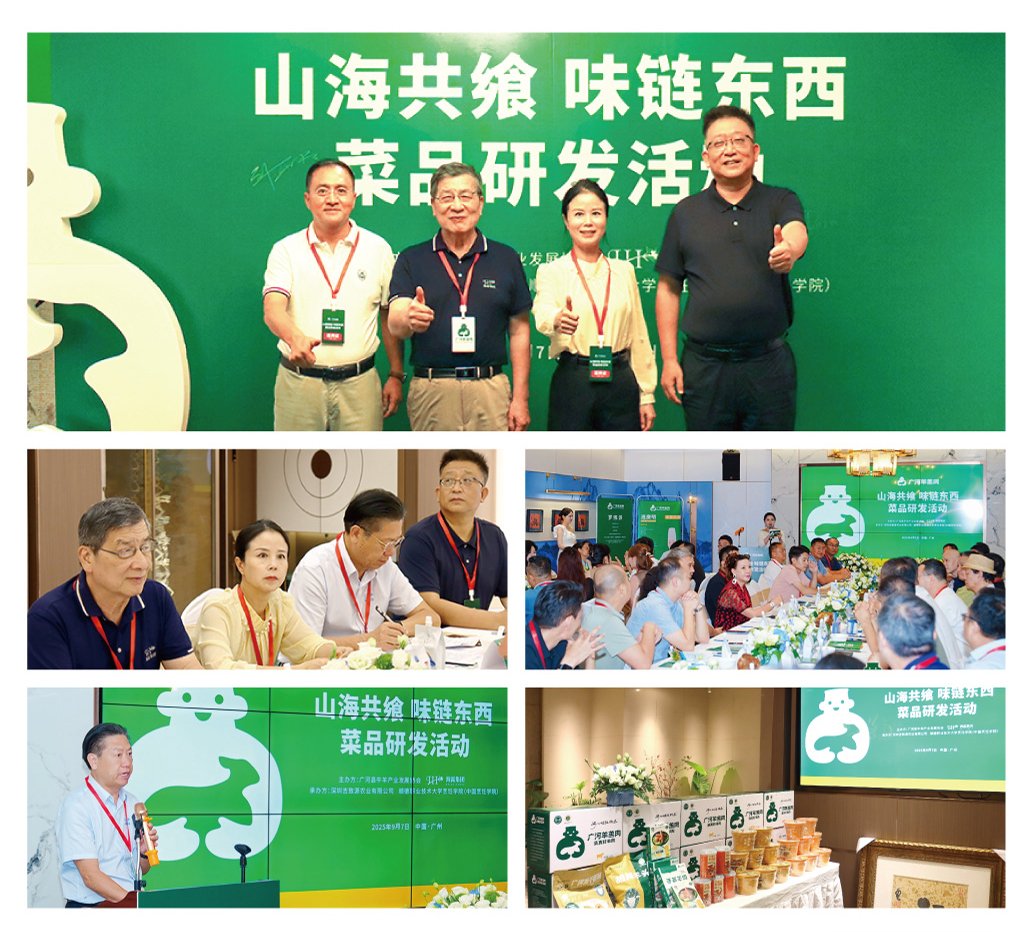 Z6���������ǲ�(�й���)���޹�˾����