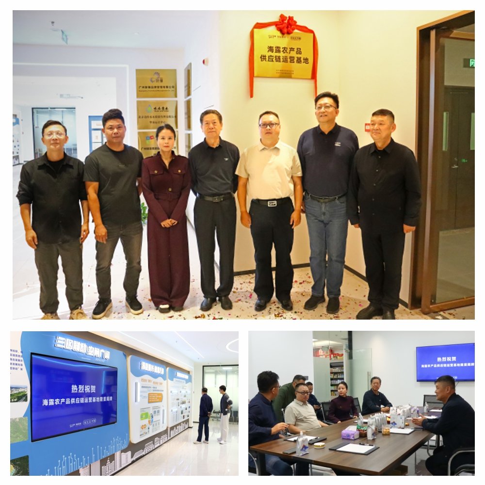 Z6���������ǲ�(�й���)���޹�˾����