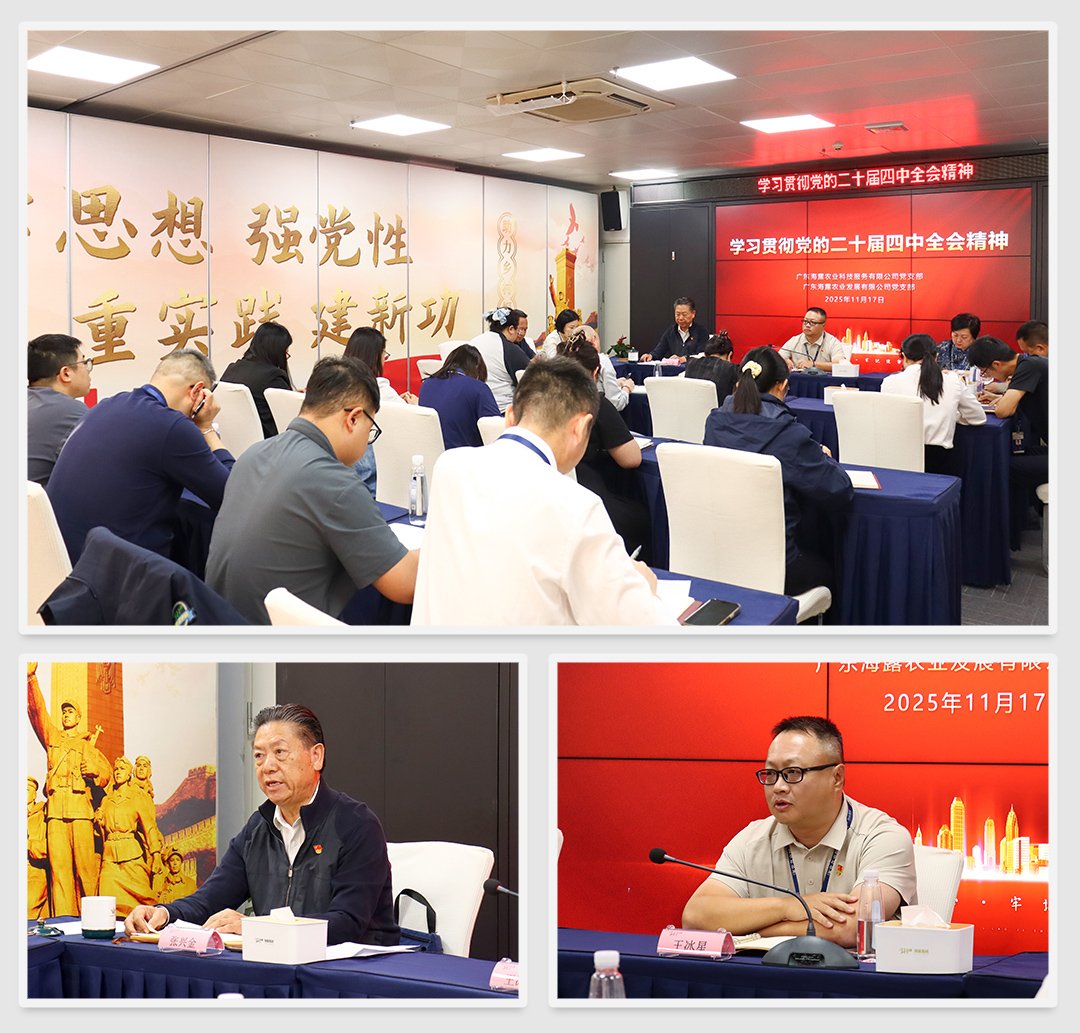 Z6���������ǲ�(�й���)���޹�˾����