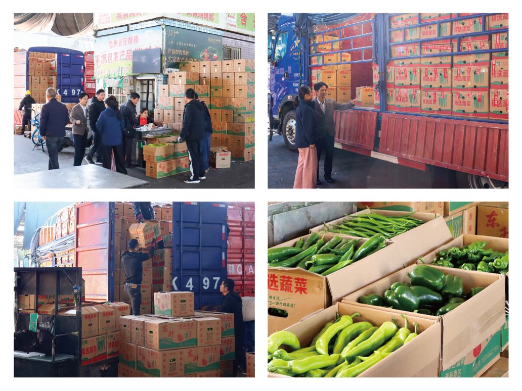 Z6���������ǲ�(�й���)���޹�˾����