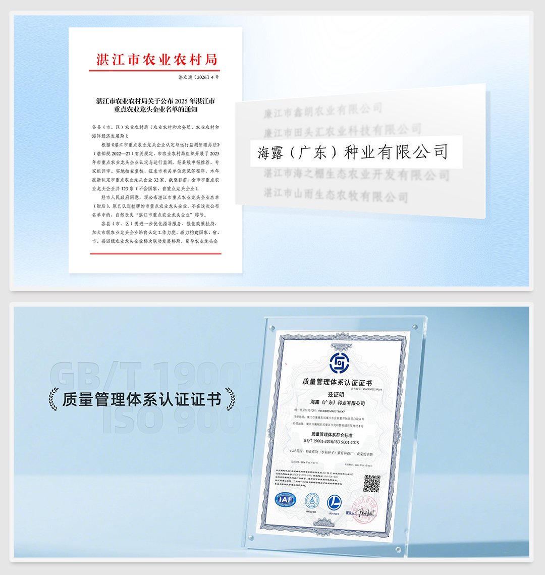 Z6���������ǲ�(�й���)���޹�˾����