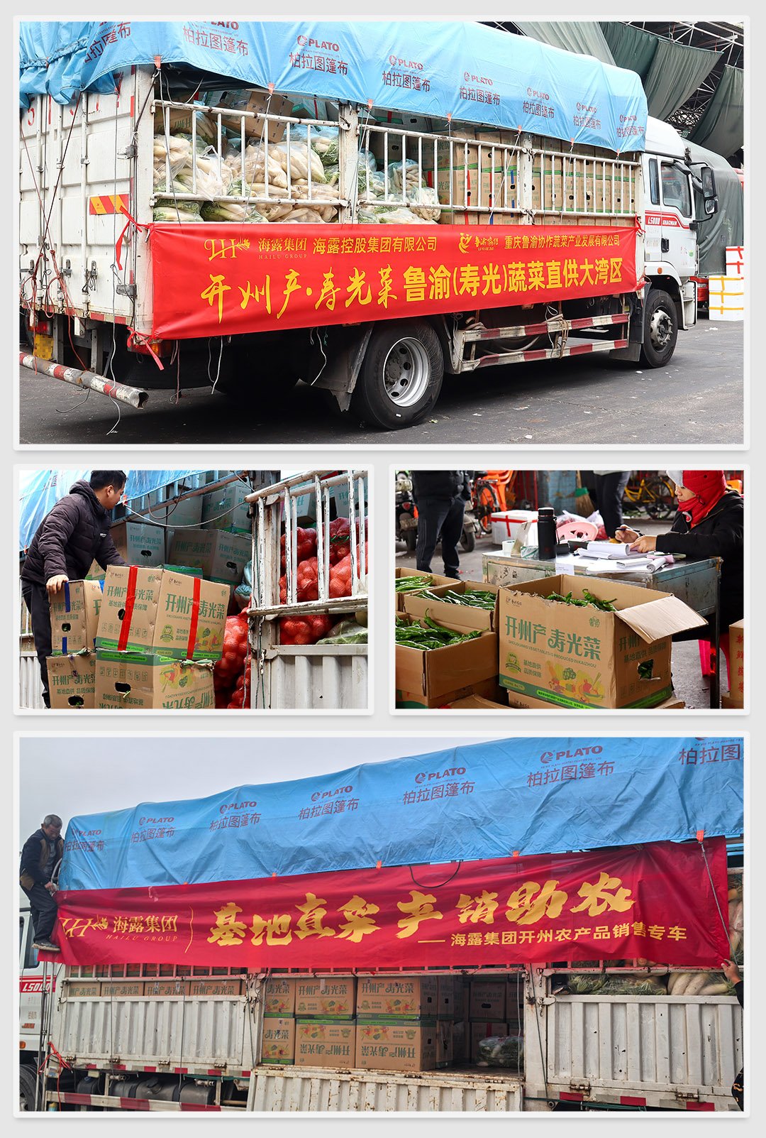 Z6���������ǲ�(�й���)���޹�˾����